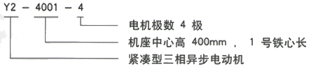 YR系列(H355-1000)高压YJTGKK5001-4三相异步电机西安西玛电机型号说明